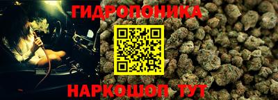 стаф Партизанск