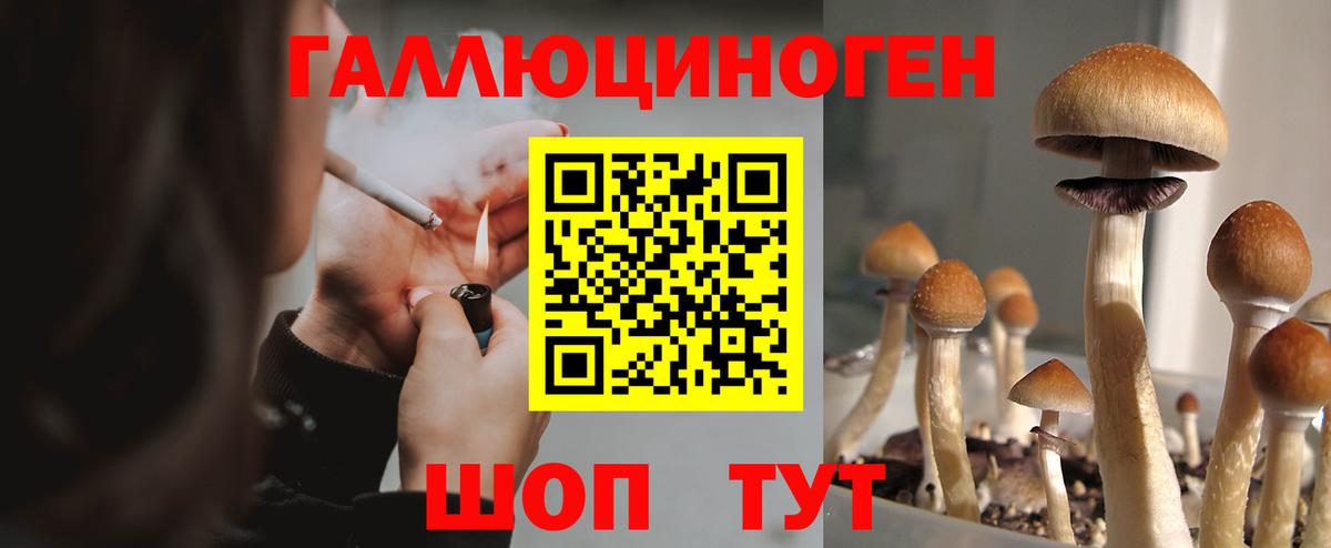 Стрежевой  Галлюциногенные грибы Magic Shrooms  Вход с VPN 
