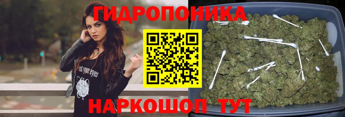 Конопля White Widow  Вход с VPN  МАРИХУАНА LSD WEED  Стрежевой  Каннабис VHQ 